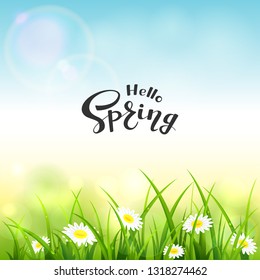Naturaleza de primavera o verano. Flores y hierba con gotas. Letras Hola primavera sobre fondo azul del cielo, ilustración.