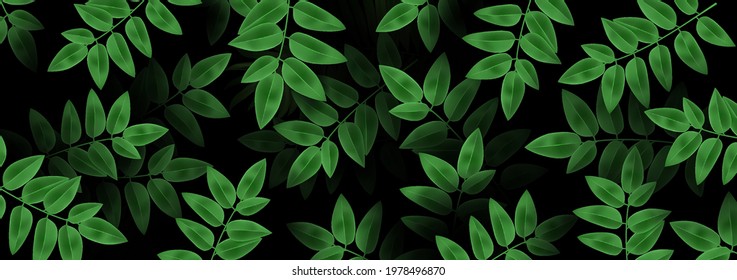 Spring or summer nature Luxurious background. Overgrown tree branches with fresh green leaves. Exotic texture. Botanical design for banner cosmetics spa perfume health care products aroma.