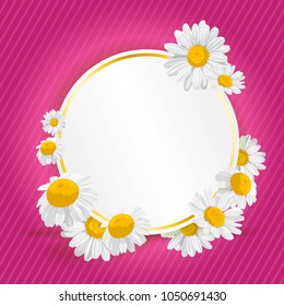 spring summer print with daisies
