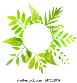 Spring and summer round frame with bright green leaves. Vector watercolor illustration. 