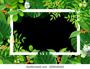 Spring or Summer Season Abstract Nature Banner Background. Vector Illustrations & Clipart.