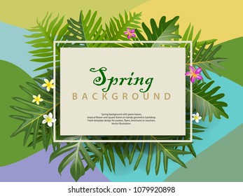 Spring or Summer Season Abstract Nature Banner Background. Bright tropical background with jungle plants. Exotic pattern with tropical leaves. Vector Illustrations & Clipart.