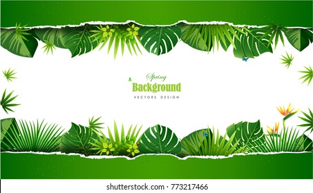 Spring or Summer Season Abstract Nature Banner Background. Vector Illustrations & Clipart.