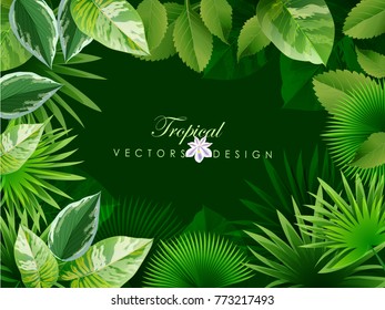 Spring or Summer Season Abstract Nature Banner Background. Vector Illustrations & Clipart.