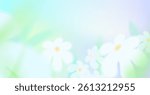 Spring or summer season background. Abstract gradation pink and yellow color backdrop, spring or summer white flowers. Chamomile bg. Soft gradient mesh illustration