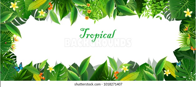 Spring or Summer Season leaves Nature Banner Background. Vector Illustrations & Clipart.