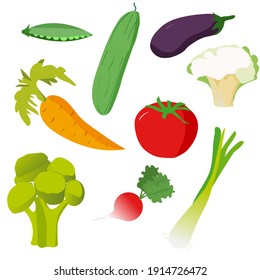 spring summer set of vegetables