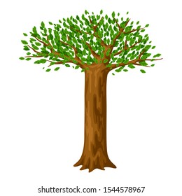 Spring or summer stylized tree with green leaves. Natural illustration.