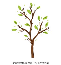 Spring or summer stylized tree with green leaves.