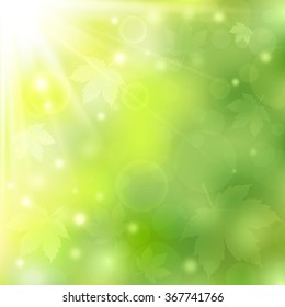 Spring or summer sunny natural green background with bokeh lights and maple leaves. Blurred soft backdrop. Vector illustration. EPS10