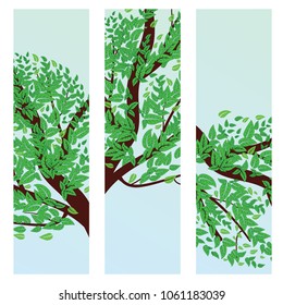 Spring, summer themed banner with green leaves on a tree branch.