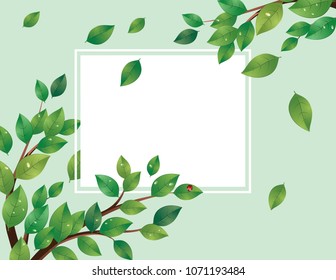 Spring, summer themed banner with green leaves on a tree branch.