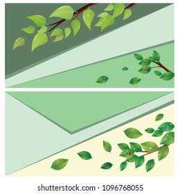 Spring, summer themed banner with green leaves on a tree branch.