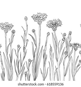 Spring and summer themes. Black contour cornflowers isolated on white background. Endless horizontal border made in artistic vector brush technique. Hand drawn decorative floral sketch. 