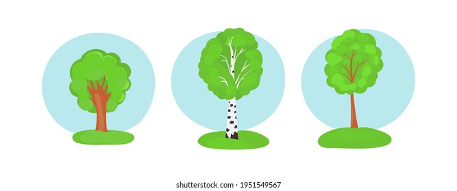 Spring and summer tree collection in a cartoon style. Pictures with the wood trees isolated on blue sky background. Vector illustration.