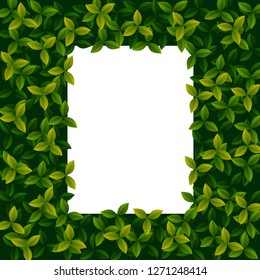 Spring, summer typography poster with cute plants, flowers in flat style, isolated on white. Vector illustration, frame for Woman's Day, Mother's Day border, frame for greeting cards, invitations.