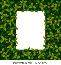 Spring, summer typography poster with cute plant with berries in flat style, isolated on white. Vector illustration, frame for Woman's Day, Mother's Day border, frame for greeting cards, invitations.