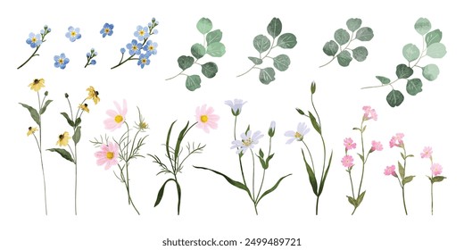 Spring and summer watercolor flower element vector set. Watercolor hand painted botanical floral, daisy, wildflower, eucalyptus leaves. Design for wallpaper, poster, banner, card, print, website.