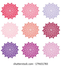 Spring Summer Wedding Flower