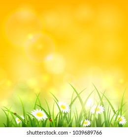 Spring or summer yellow natural background. Sunny day with flowers and grass, illustration.