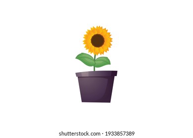 Spring Sun Flower Pot Vector Icon