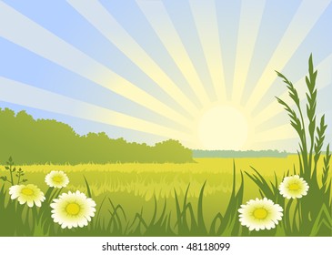 Spring sunny landscape