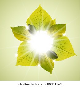 Spring sunny leafs abstract background with place for your text