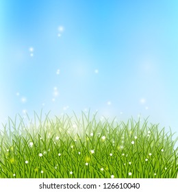 Spring sunny meadow with green grass