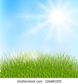 Spring sunny meadow with green grass