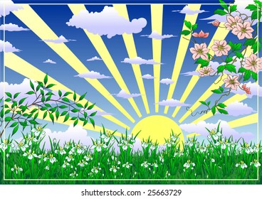 Spring sunny Meadow landscape of vector illustration