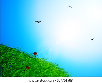Spring Sunny Sky Background with Green Grass Flowers and Birds