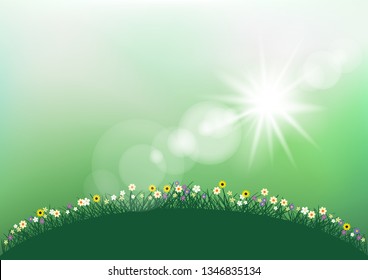 Spring sunshine light and grass with flowers. Ground meadow silhouette landscape on green blurry sky background. Nature fresh floral backdrop