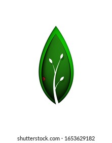 spring symbol, green leaf with ladybug inside, layered green leaf on the white  background, eco concept, protect the plant idea, vector