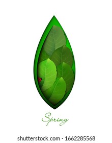 spring symbol, green leaf with ladybug inside, layered green leaf on the white  background, eco concept, protect the plant idea, vector