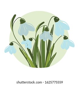 spring tender blue white snowdrops with unopened buds in a yellow circle, vector illustration
