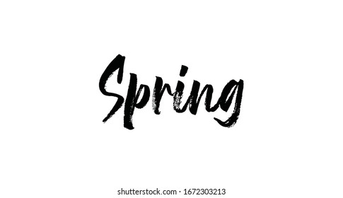 Spring text lettering sign. Modern typographic design element.