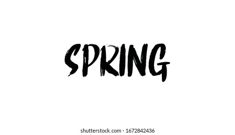 Spring text lettering sign. Modern typographic design element.