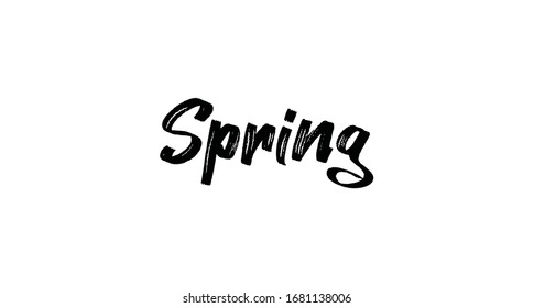 Spring text lettering sign. Modern typographic design element.