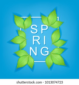 Spring text with realistic green leaves and frame. Card and banner, invitation template. Modern brush calligraphy, typography. Blue background. Vector illustration.