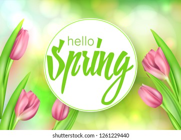 Spring text with realistic tulip flower. Vector illustration EPS10