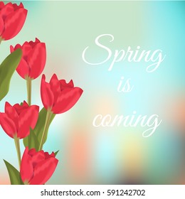 Spring text with red tulips flower bouquet. Vector illustration tulips beauty spring pink blossom. Nature floral holiday season background. Green leaf bloom plant celebration vibrant bunch flower.