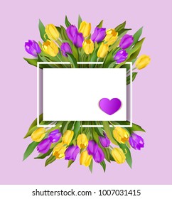 Spring text with tulip flower. Vector illustration EPS10