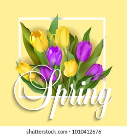 Spring text with tulip flower. Vector