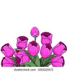 Spring text with Tulip flower. Vector illustration of the EPS10. Stock vector . Isolated white background .