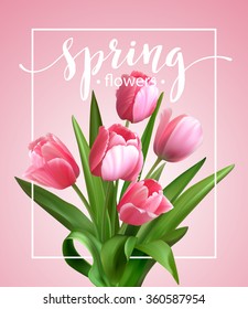 Spring text with  tulip flower. Vector illustration EPS10