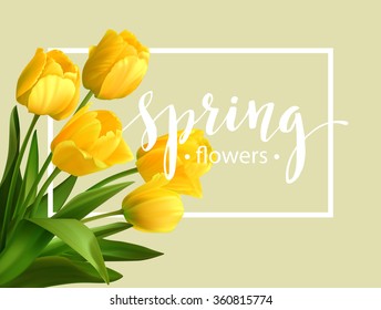 Spring text with  tulip flower. Vector illustration EPS10