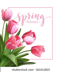 Spring text with  tulip flower. Vector illustration EPS10