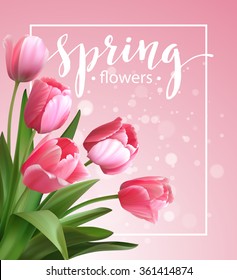 Spring text with  tulip flower. Vector illustration EPS10