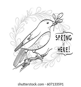 Spring theme. Graphic spring banner with bird sketch. Sitting bird on a branch. Hand drawing contoured sketch. 