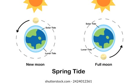 Frühjahrsflut. Mond Gezeiten, Mond Gezeiten. Der Gezeitenkartoon der Erde. Infografik der Astronomie, Bildung, Banner, Hintergrund, Diagramm. Vektorgrafik und Illustration.